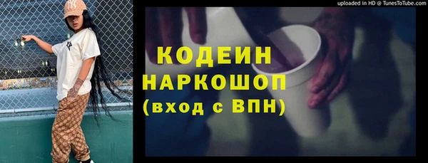 гидра Гусь-Хрустальный