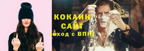 кокс Гусев