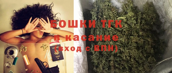 гидра Гусь-Хрустальный