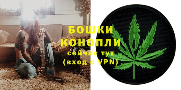 кокс Гусев