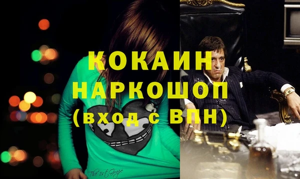 кокс Гусев
