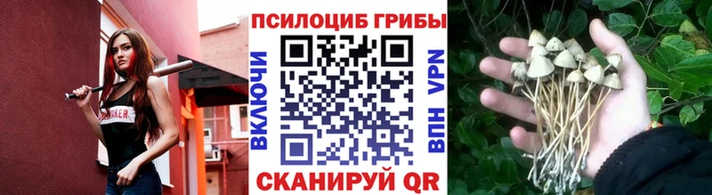 Галлюциногенные грибы MAGIC MUSHROOMS  даркнет сайт  Знаменск 